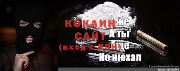 тгк Инта
