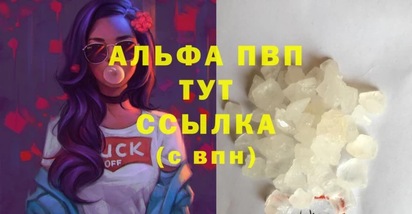 тгк Инта