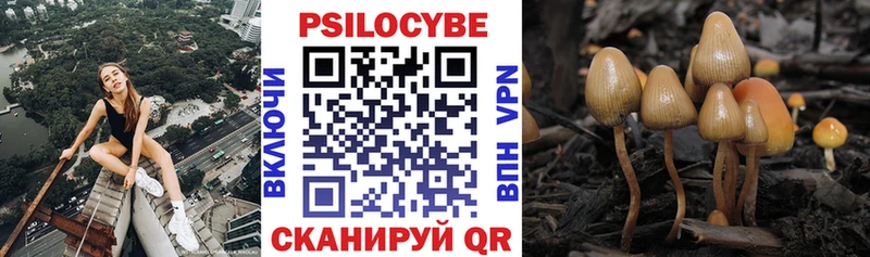 Псилоцибиновые грибы прущие грибы  Купить закладки  Дмитровск 